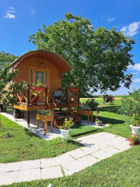 LA ROULOTTE DE FLORETTE avec jacuzzi gratuit